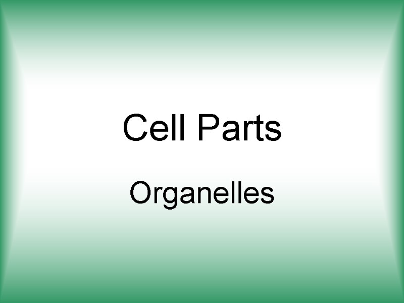 Cell Parts Organelles